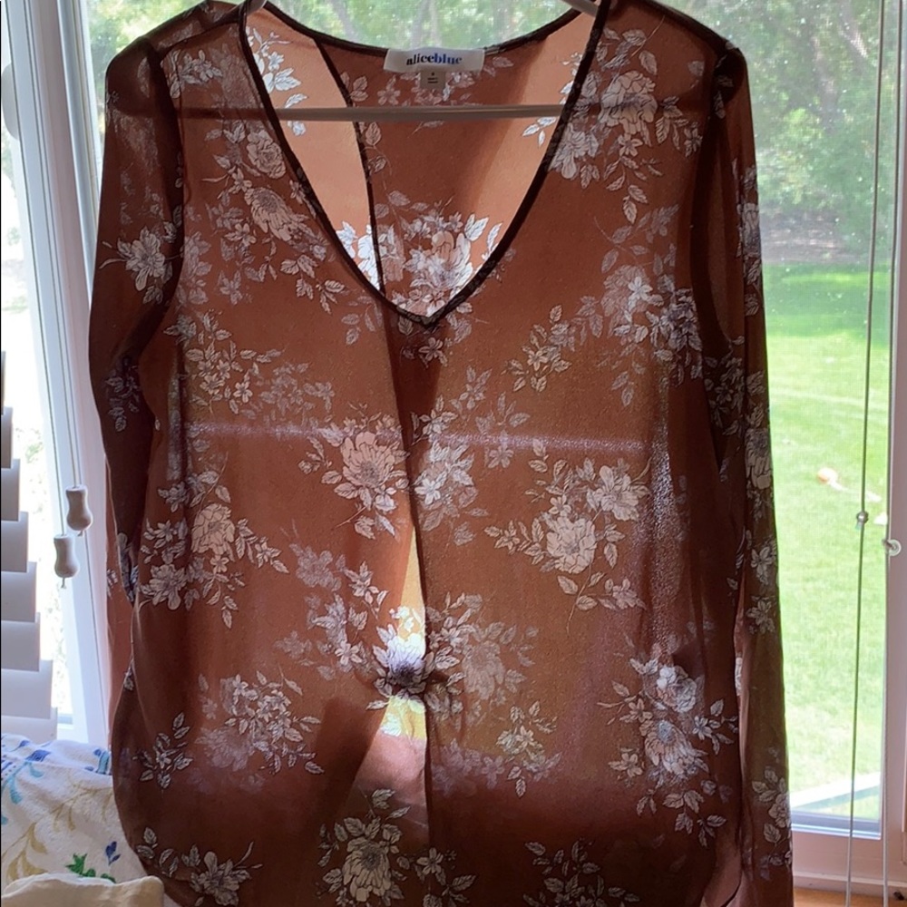Sheer Blouse